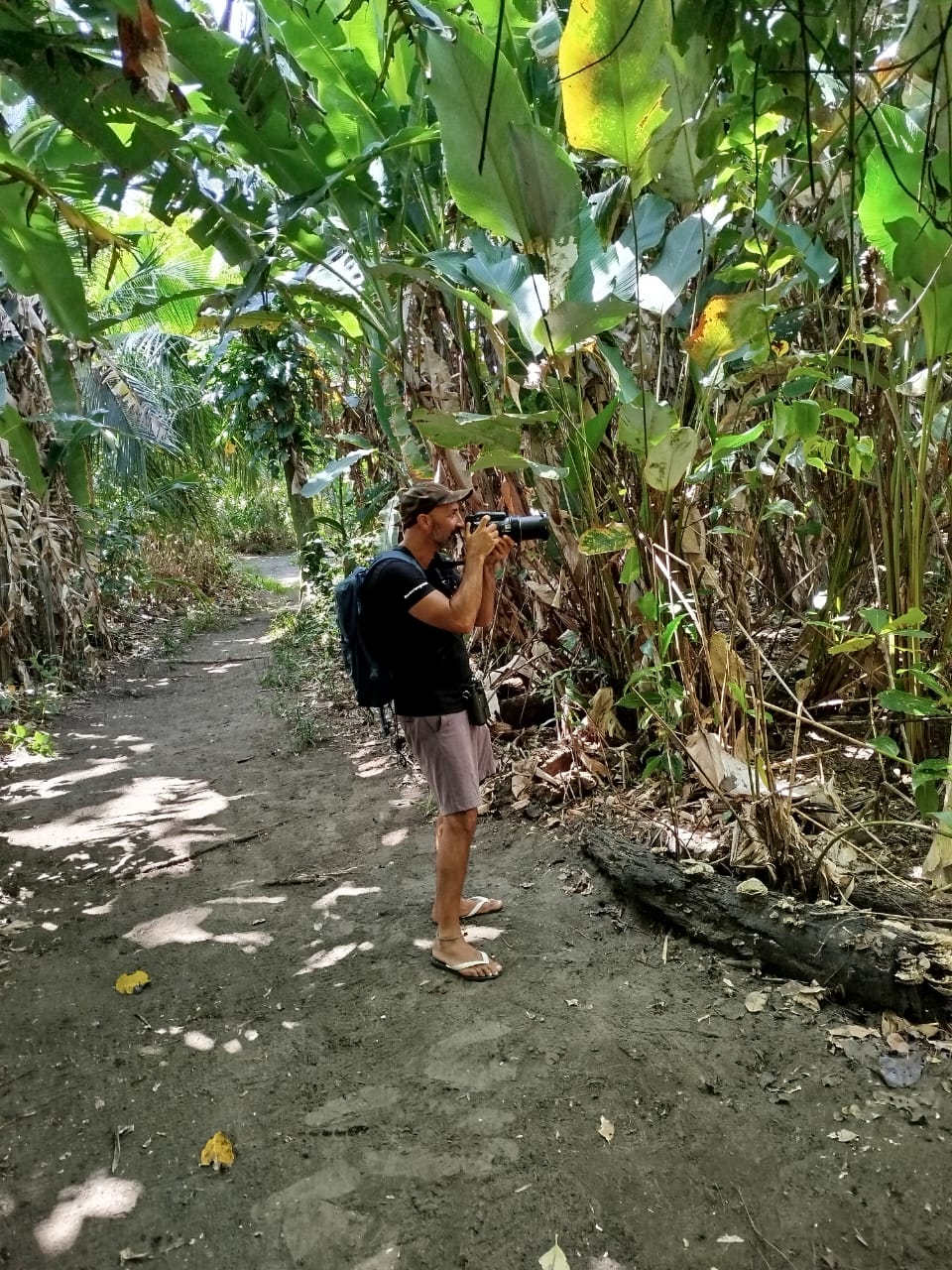 Avistamiento de Aves