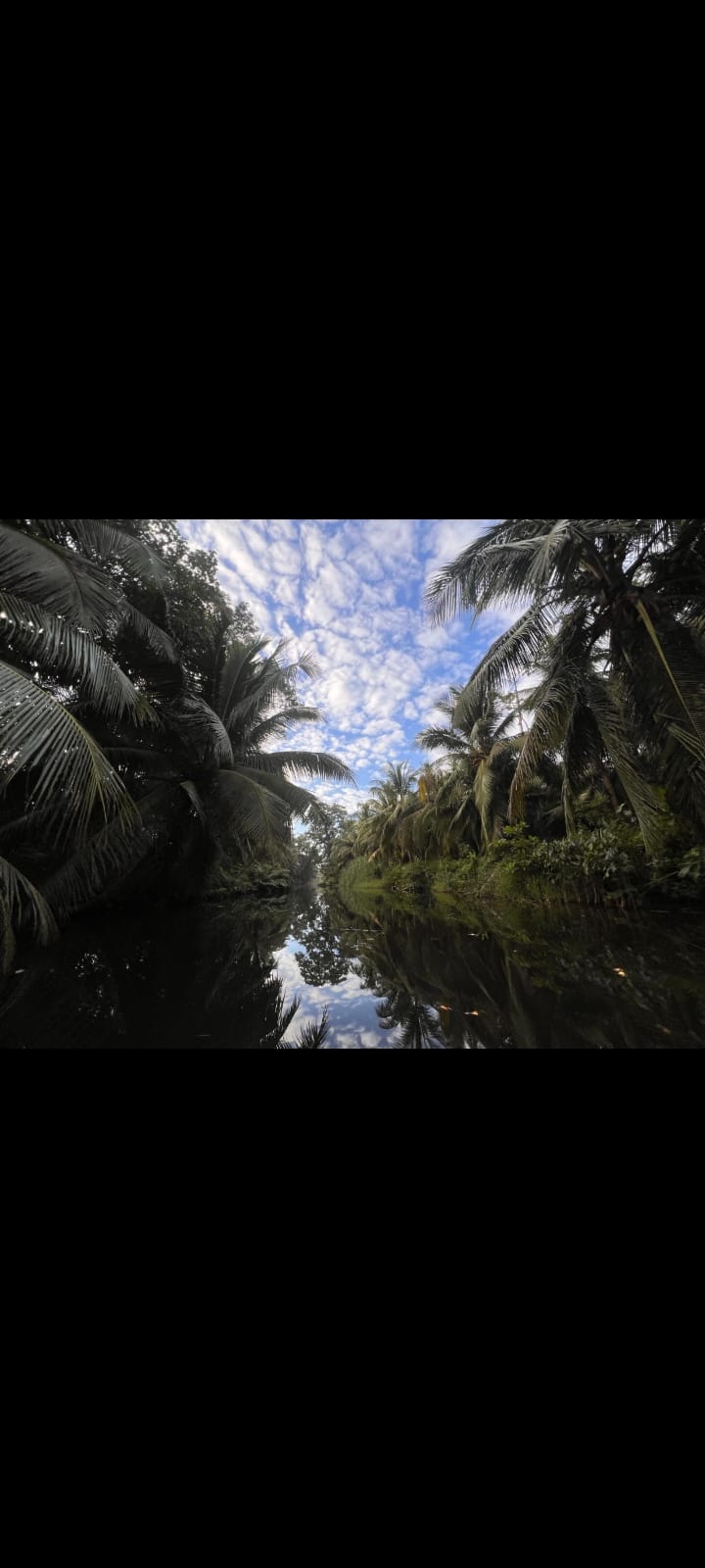 Recorridos por Canales